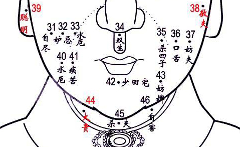 女性面部痣相图解