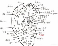 耳朵上长痣面相好不好