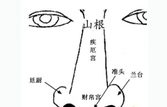 痣的位置：山根