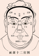 面相十二宫位痣的位置与命运