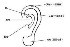 耳朵面相算命图解