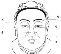 面相算命图解【中】