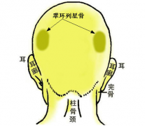 29.翠环列星骨