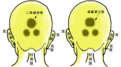 20.三星福寿骨