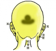 17.明珠碧玉骨