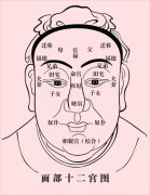 相学经典：《麻衣相法》面相十二宫图文详解大全