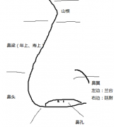 面相看矮鼻梁山根低的女人