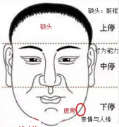 面相论命口诀，刘恒面相教学之杂篇