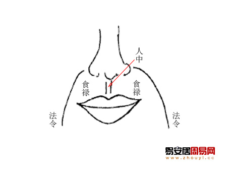 人中看面相算命图解