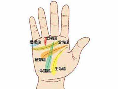 手相智慧线大全图解