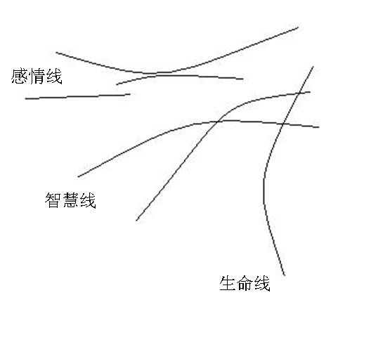 解析两条智慧线