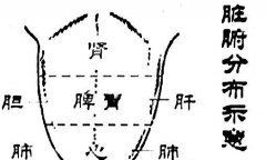 面相舌头看运势