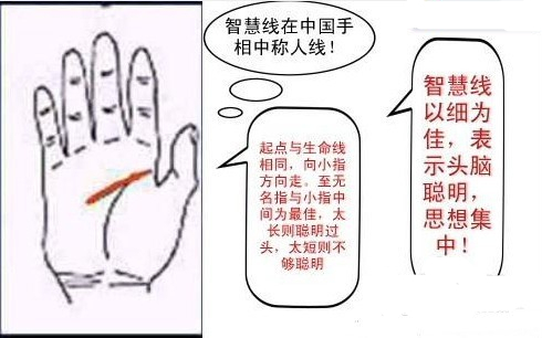 通过手相看命运人生起伏