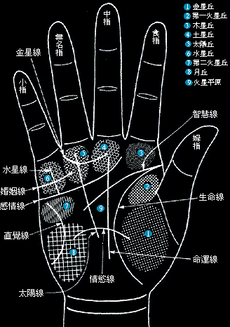 手相大揭秘--看你的爱情