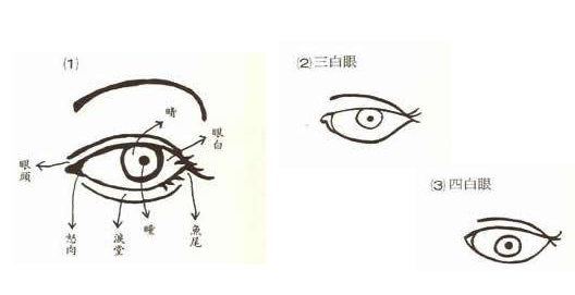 面相大全之眼相解析