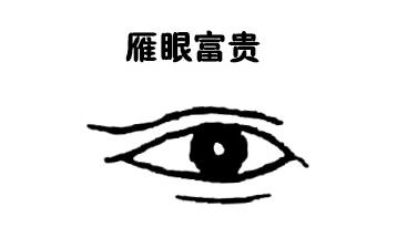 解析面相中的雁眼