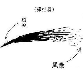 面相解析何为扫帚眉