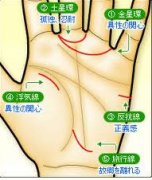 手面相：第六感特别灵的手面相特徵！