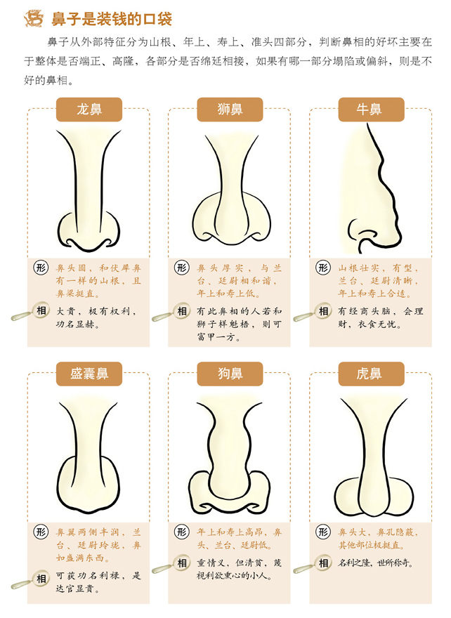  面相速查