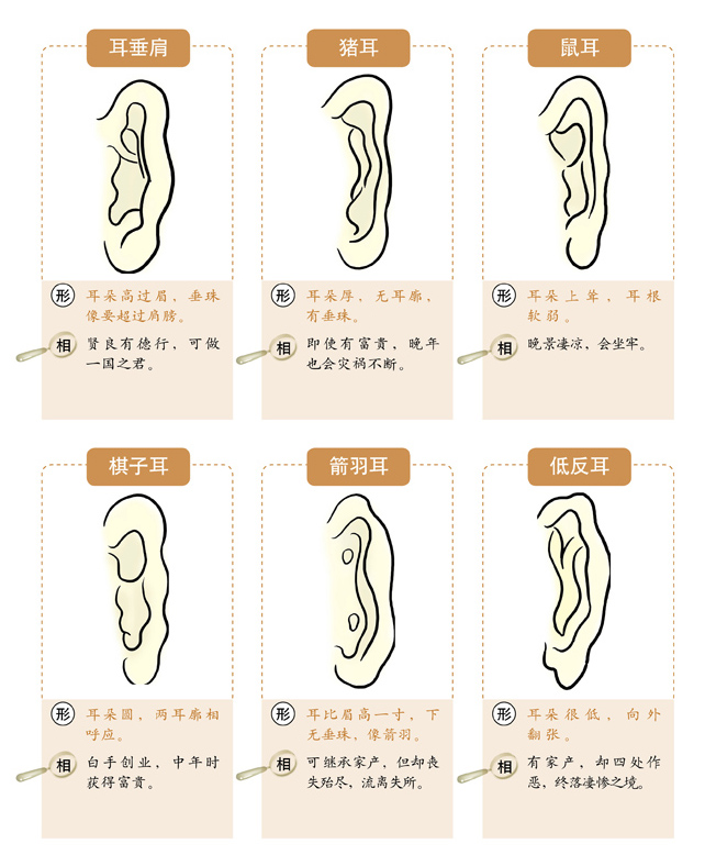  面相速查