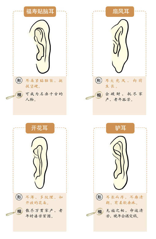  面相速查