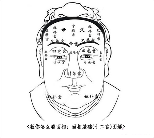 面相基础图解