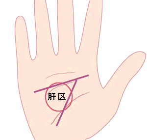 看手相“肝区”快速诊断健康寿命