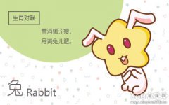 生肖兔创业失败会做什么