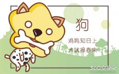 今年哪个属相犯太岁 要怎么化解