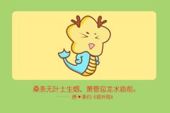 属龙和属兔的合不合 在一起怎么样