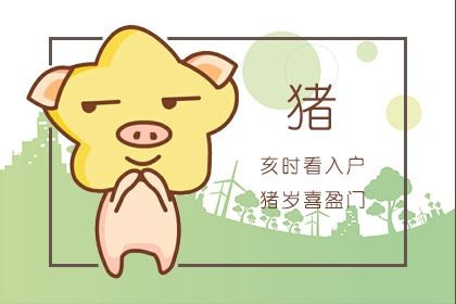 生肖猪运程 2020年9月属猪运势