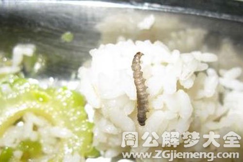 梦见吃饭吃出虫子