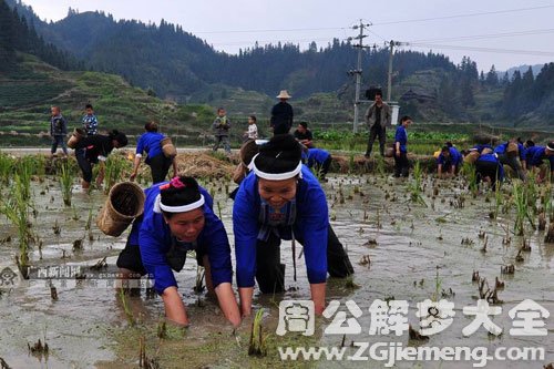 在水塘里抓鱼