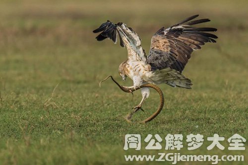 梦见小蛇咬自己的腿