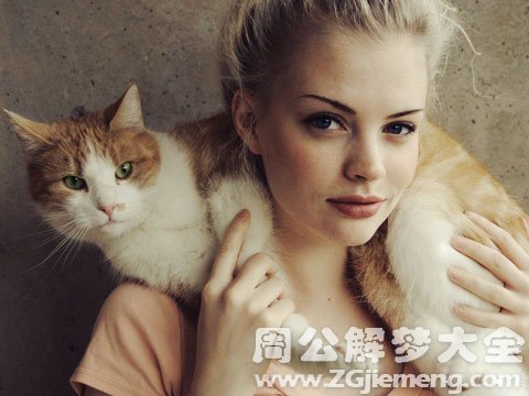 女人梦见猫.jpg