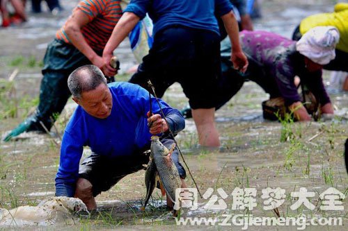 梦见在河里抓鱼