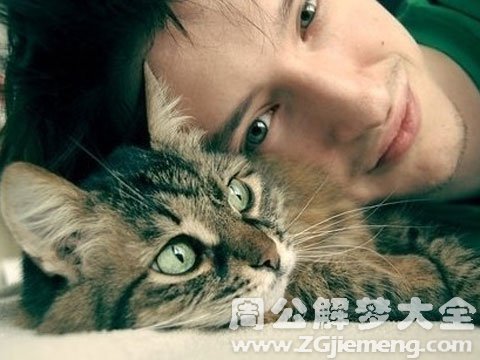 男人梦见猫.jpg