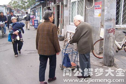 梦见驼子