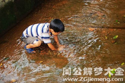 梦见白天捉鱼