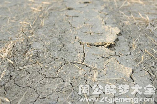 梦见田野一片荒芜