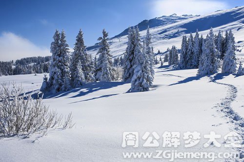 梦见厚厚的积雪