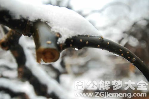 梦见雪融化