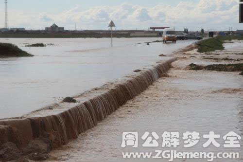 发洪水死了很多鱼