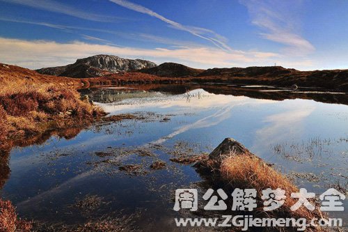 梦见水潭上面长满草