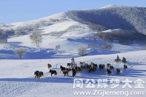 梦见雪山雪地