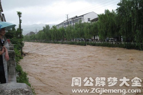 梦见发洪水水流很急