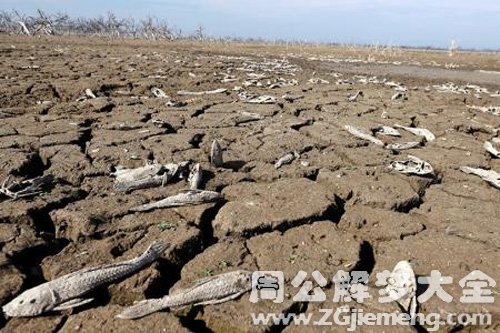 梦见家乡的河水干了