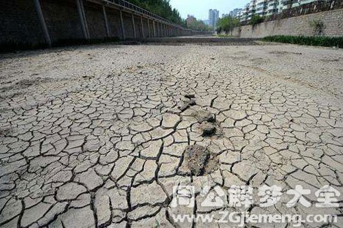 梦见河水干