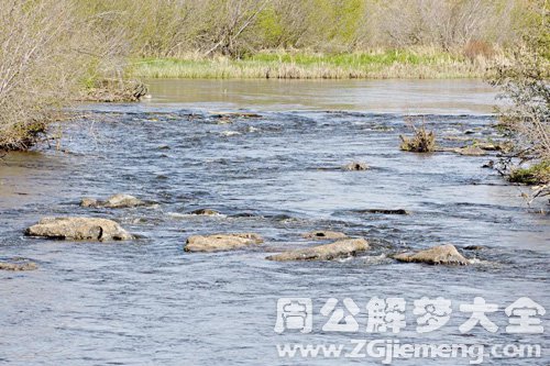 梦见家乡的河水倒流