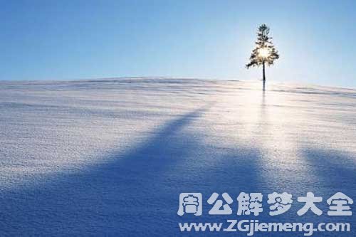 梦见地上一层雪